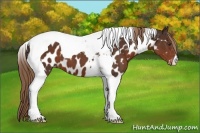Horse Color:Liver Chestnut Tobiano Near Leopard 
