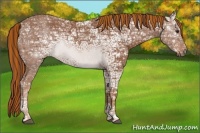 Horse Color:Painted Chestnut Ice