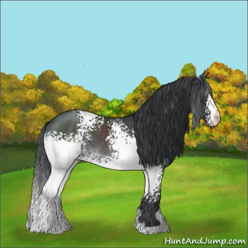 Horse Color:White Spotted Black