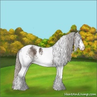 Horse Color:White Spotted Silver Black Tobiano 