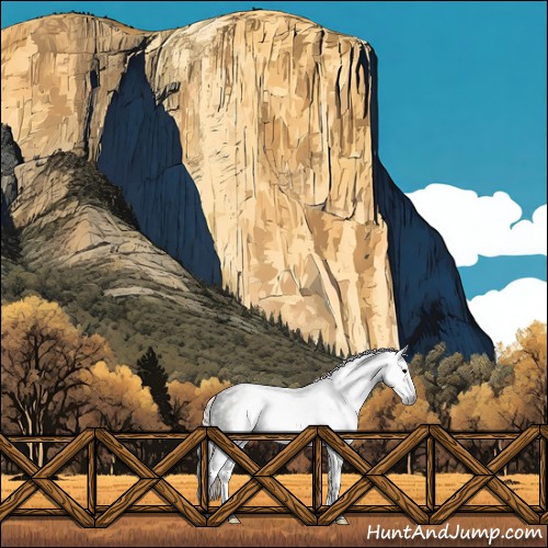 Horse Color:Gray Silver Black Sabino