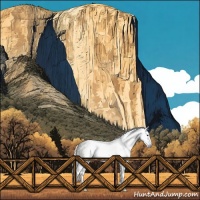 Horse Color:Gray Silver Black Sabino 