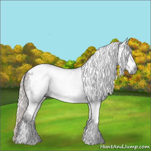 Horse Color:Gray White Spotted Silver Black 
