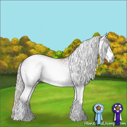 Horse Color:Gray White Spotted Silver Bay 