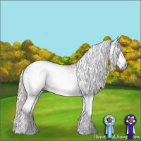 Horse Color:Gray White Spotted Silver Bay