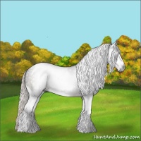 Horse Color:Gray Silver Black Sabino Tobiano Rabicano