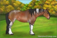 Horse Color:White Spotted Brown Tobiano 
