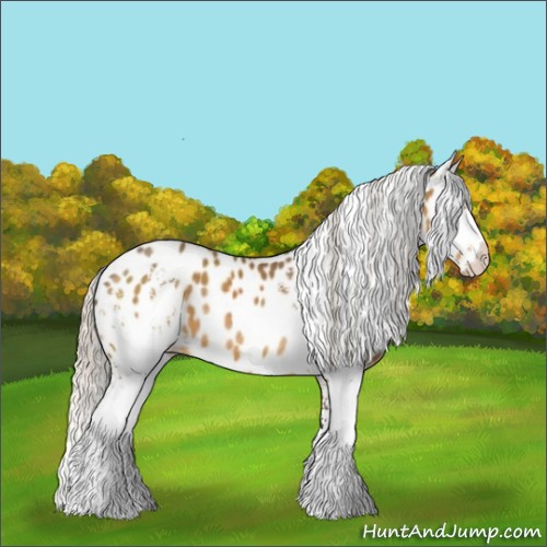 Horse Color:White Spotted Silver Buckskin Appaloosa 