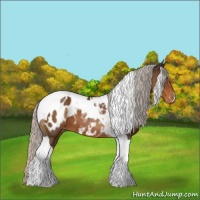 Horse Color:Silver Buckskin Tobiano Blanket 