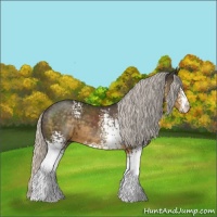 Horse Color:White Spotted Silver Smoky Black 
