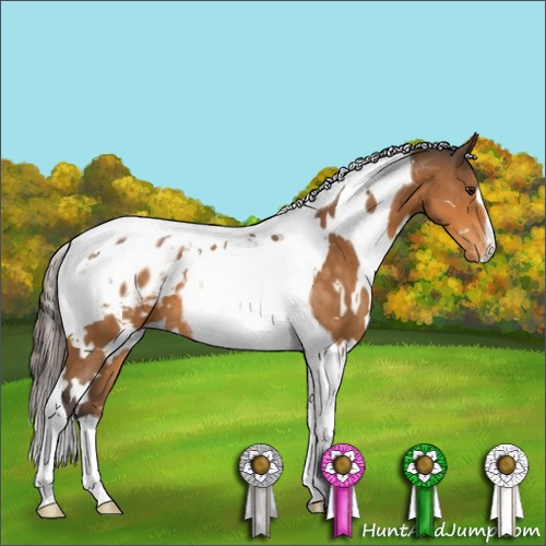 Horse Color:White Spotted Buckskin Tobiano Appaloosa