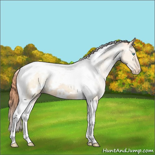 Horse Color:White Spotted Buckskin Pearl Dun Tobiano Appaloosa