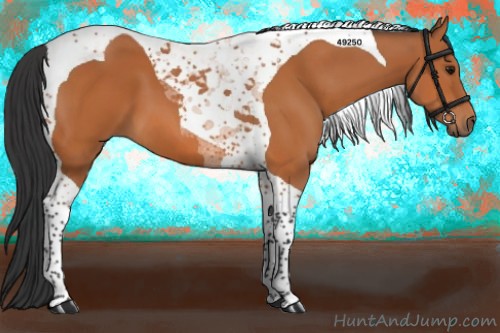 Horse Color:Bay Tobiano 