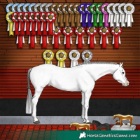 Horse Color:Brown Dun Sabino Splash 