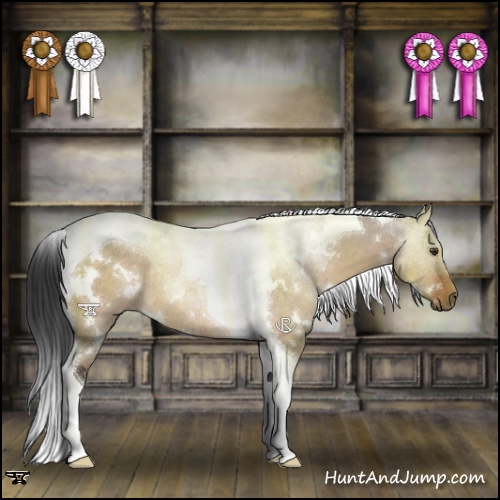 Horse Color:White Spotted Brown Dun Tobiano Rabicano