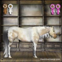 Horse Color:White Spotted Brown Dun Tobiano Rabicano