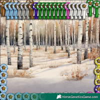 Horse Color:White Spotted Brown Pearl Dun 