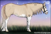 Horse Color:Red Dun Roan Splash Rabicano 