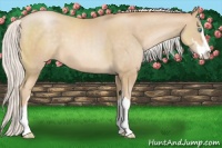 Horse Color:Silver Smoky Black Pearl Sabino 
