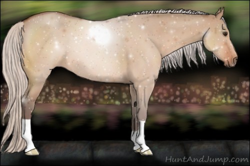 Horse Color:Silver Brown Dun 