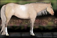Horse Color:Silver Brown Dun 