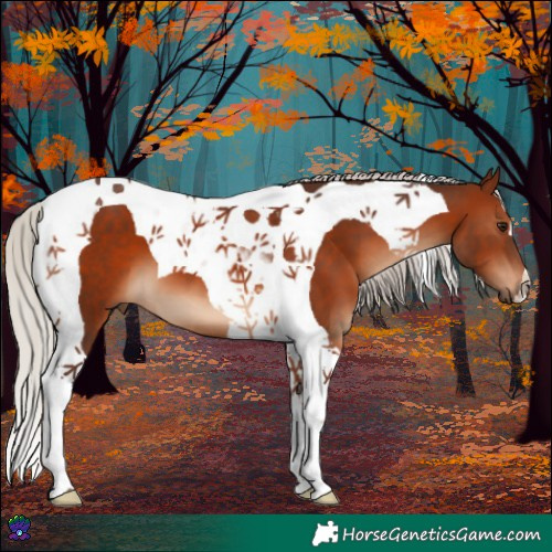 Horse Color:Silver Brown Tobiano 