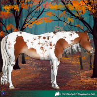 Horse Color:Silver Brown Tobiano 