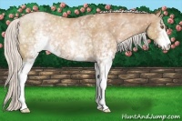 Horse Color:White Spotted Silver Black Pearl Sabino