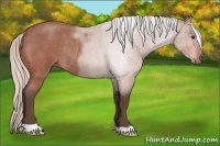 Horse Color:Silver Brown Roan Rabicano 