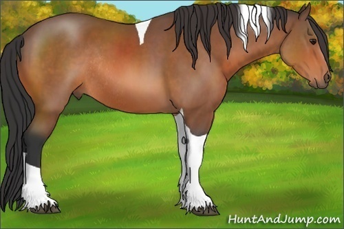 Horse Color:Bay Sabino Tobiano Rabicano 