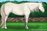 Horse Color:Perlino Dun Sabino 