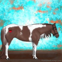 Horse Color:Chocolate Smoky Black Tobiano 