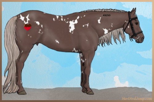 Horse Color:White Spotted Chocolate Silver Black