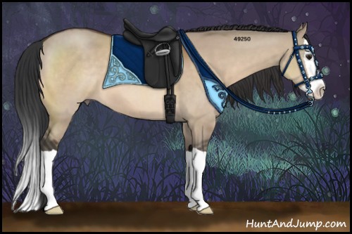 Horse Color:Brown Dun Splash 