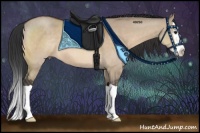 Horse Color:Brown Dun Splash 