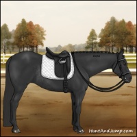 Horse Color:Liver Chestnut Rabicano 