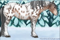 Horse Color:Brown Mushroom Tobiano Near Leopard Rabicano 