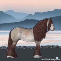 Horse Color:Platinum Chocolate Buckskin Roan Dun 
