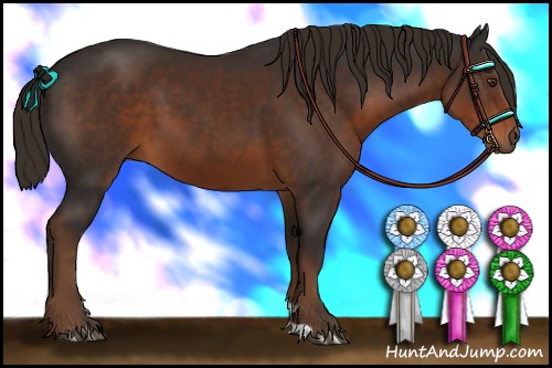 Horse Color:Liver Chestnut 