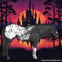 Horse Color:Black Blanket 