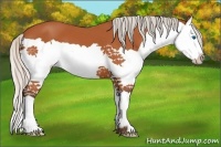 Horse Color:Silver Bay Splash 