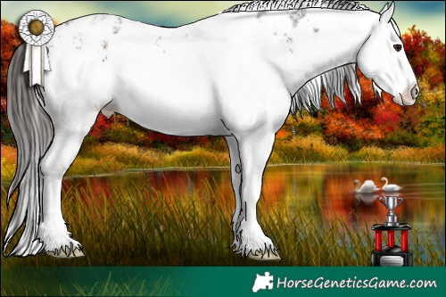 Horse Color:White Spotted Bay Ice Near Leopard