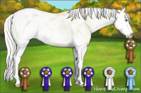 Horse Color:Silver Classic Cream Champagne Dun Sabino Varnish