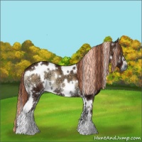 Horse Color:Painted White Spotted Red Onyx Ice