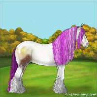 Horse Color:Painted Bay Onyx Tobiano 