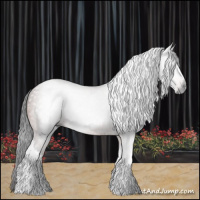 Horse Color:Gray White Spotted Bay Tobiano 
