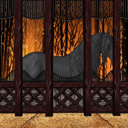 Horse Color:Black Sabino Rabicano 