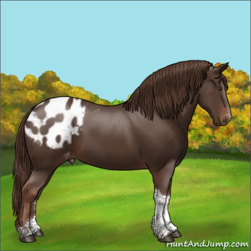 Horse Color:Liver Chestnut Tobiano Blanket 