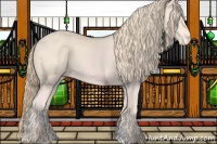 Horse Color:Perlino Appaloosa