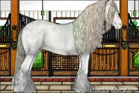 Horse Color:White Spotted Perlino Ice Onyx Tobiano Appaloosa 